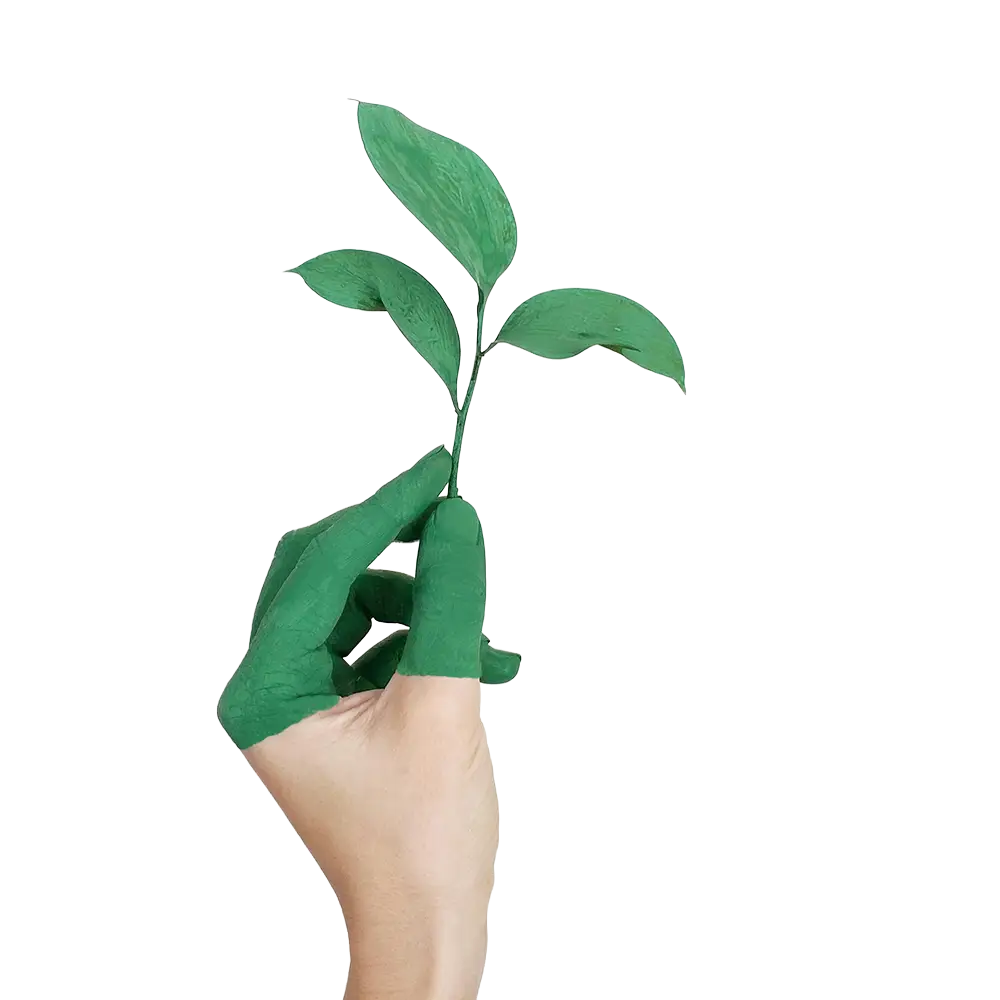 Commitment to Sustainability